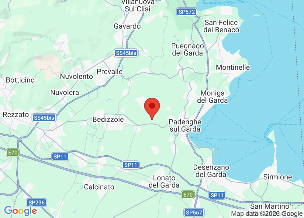 Location of Arzaga Golf on map